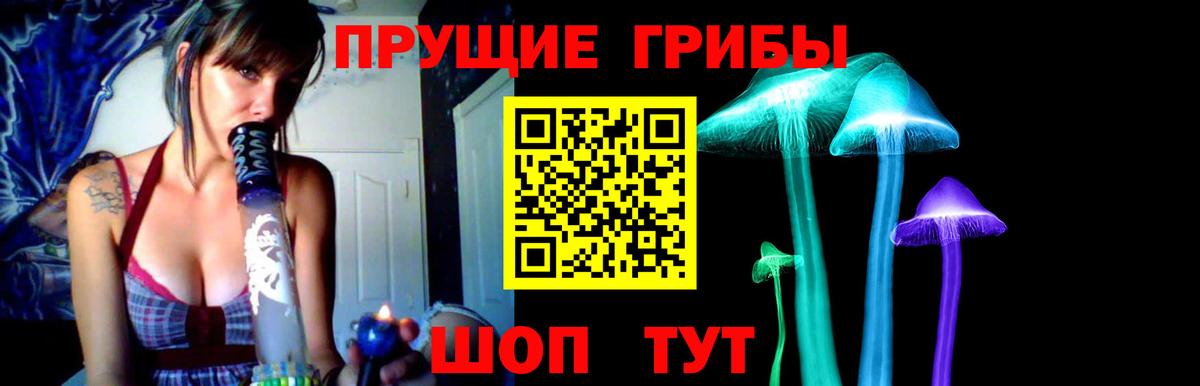 Псилоцибиновые грибы MAGIC MUSHROOMS  Вход с VPN  Лесосибирск 